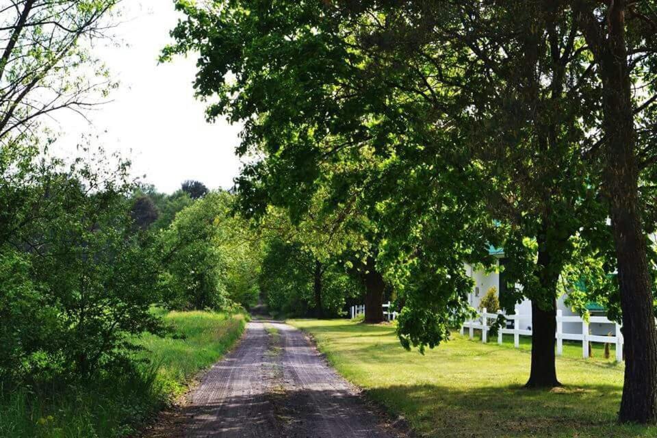 Agroturismo Lansada